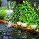 【エネルギーの源泉から湿地へ③】湧き水スポットを見つける