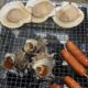 敦賀の海は自然エネルギーを摂取するのに最高ですという話
